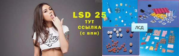 ГАЛЛЮЦИНОГЕННЫЕ ГРИБЫ Аркадак