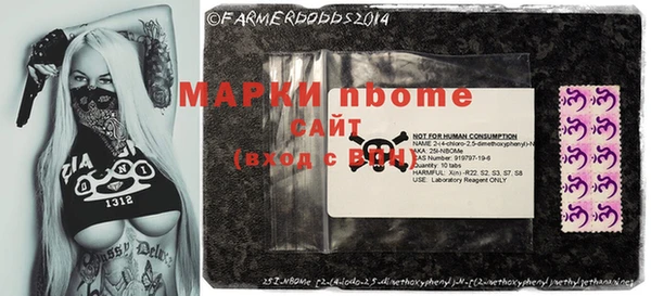 ГАЛЛЮЦИНОГЕННЫЕ ГРИБЫ Аркадак