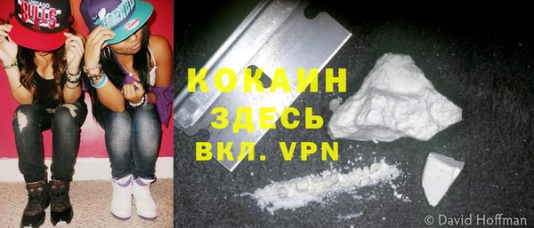 ГАЛЛЮЦИНОГЕННЫЕ ГРИБЫ Аркадак