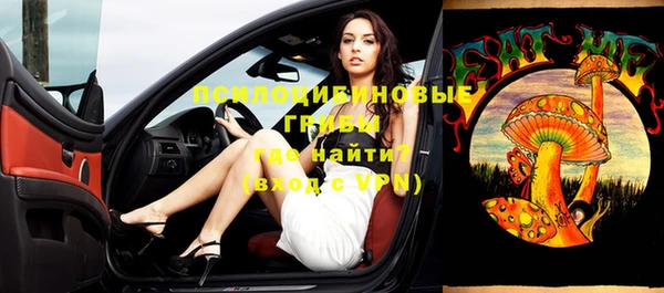 ГАЛЛЮЦИНОГЕННЫЕ ГРИБЫ Аркадак