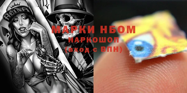 ГАЛЛЮЦИНОГЕННЫЕ ГРИБЫ Аркадак