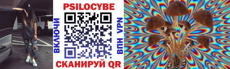 купить   Мирный  Псилоцибиновые грибы Psilocybe 
