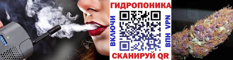 Канабис планчик  хочу   Мирный 